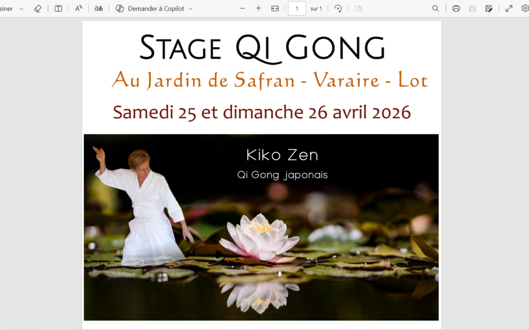 Stage de Qi Gong Japonais