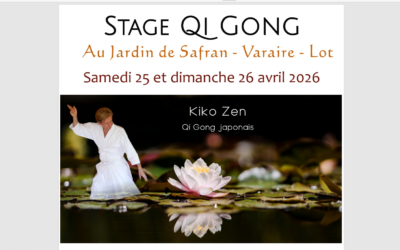 Stage de Qi Gong Japonais