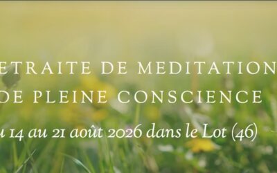 Retraite de méditation de pleine conscience
